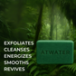 Daily Skin Essentials Routine