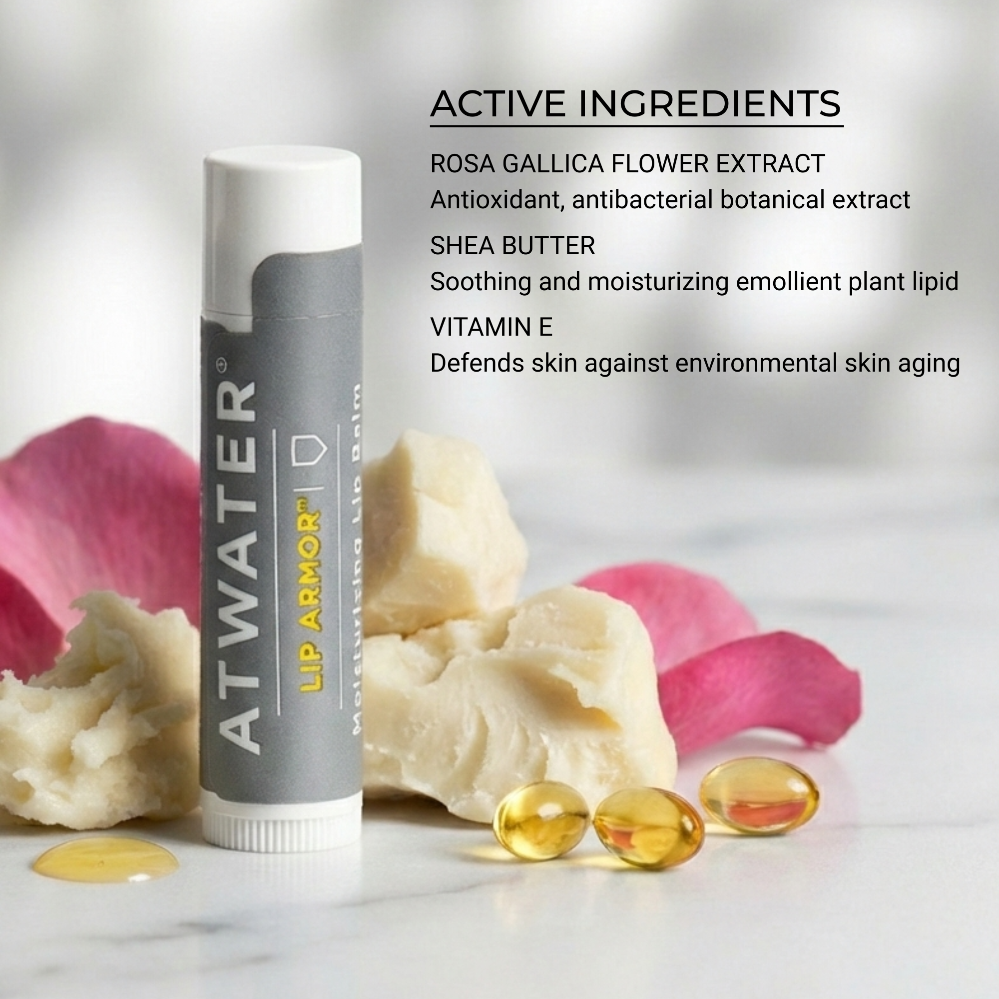 Atwater lip balm tube with active ingredients listed on a light background
