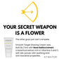 ATWATER Smooth Target Shaving Cream Rosa Gallica